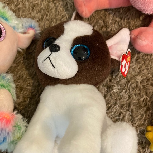 Ty Beanie Babies Big Eye Stuffies Lot Of 9 Whale Flamingo Cat Dog Bird - Picture 6 of 8